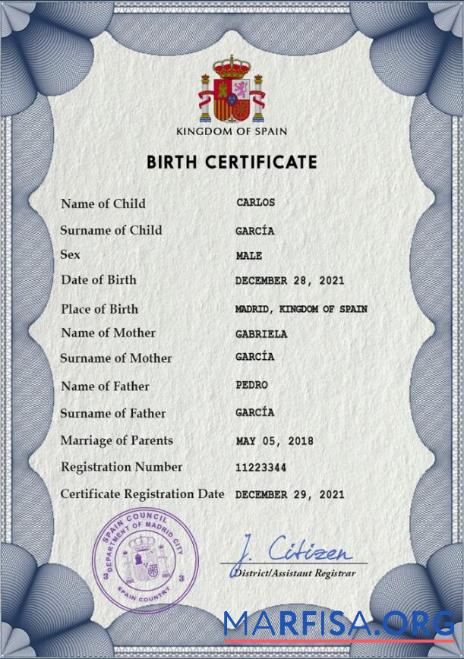 Blank Spain vital record birth certificate PSD template, fully editable